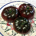 Solanum lycopersicum 'Brandywine Black' (Organic)